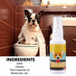 🔥BUY 1 GET 1 FREE🔥🐾Pet Potty Training Spray