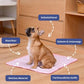🐶🐱🐾 Cooling Pet Pad Multi‑Size (XS–XXL) – Breathable, Washable, Non‑Slip – Dog Bed, Sofa Cover, Car Seat Mat – Supports up to 80kg – 3 Colours Available