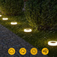 Durable Solar Outdoor Lawn Lights