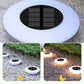 Durable Solar Outdoor Lawn Lights