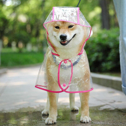 🔥Hot Sale 49% Off🔥Transparent Raincoat For Dog
