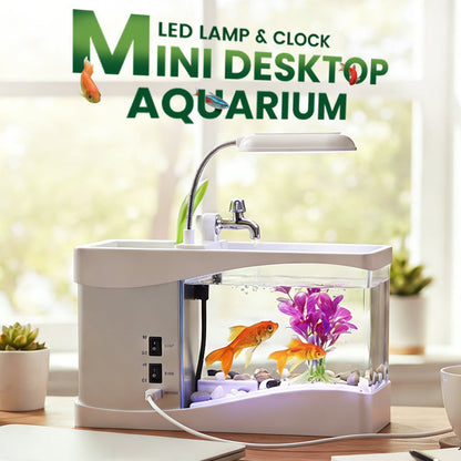 ⏳Limited-time 50% off⏰Mini Desktop Aquarium with LED Lamp & Clock