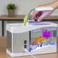 ⏳Limited-time 50% off⏰Mini Desktop Aquarium with LED Lamp & Clock