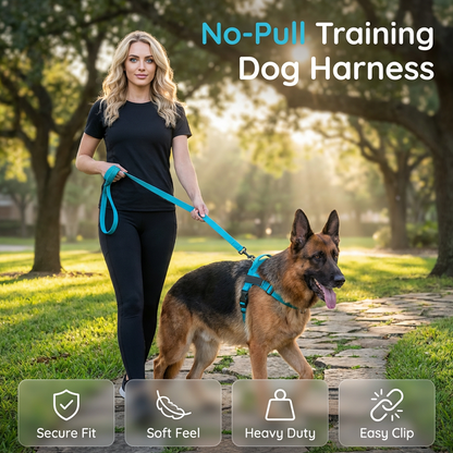 💐50% OFF ! Premium No-Pull Dog Harness | Breathable Mesh Pet Lead with Quick-Release Buckle | Adjustable Walking Vest for Dogs🐕✨【Limited Offer】