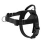 💐50% OFF ! No-Pull Padded Dog Harness – Easy On/Off in Seconds 🐕✨【Limited Offer】