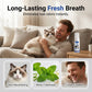 🐶🐱50% OFF | No-Brush Pet Oral Cleaning Mousse – Dissolve Tartar & Freshen Breath Without Brushing!