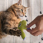 Plush Catnip Cat Chew Toy